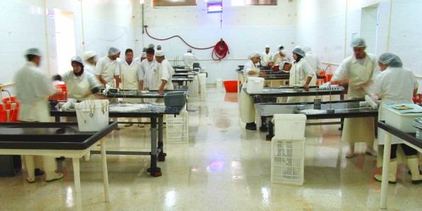 salle de calibrage des boyaux