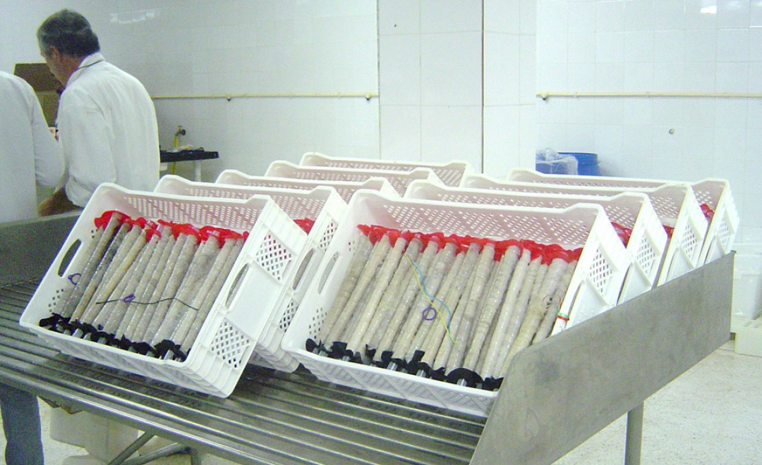 Boyaux-tubes-rigides