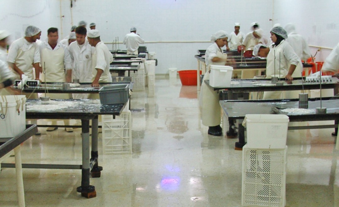 boyau-atelier-calibrage