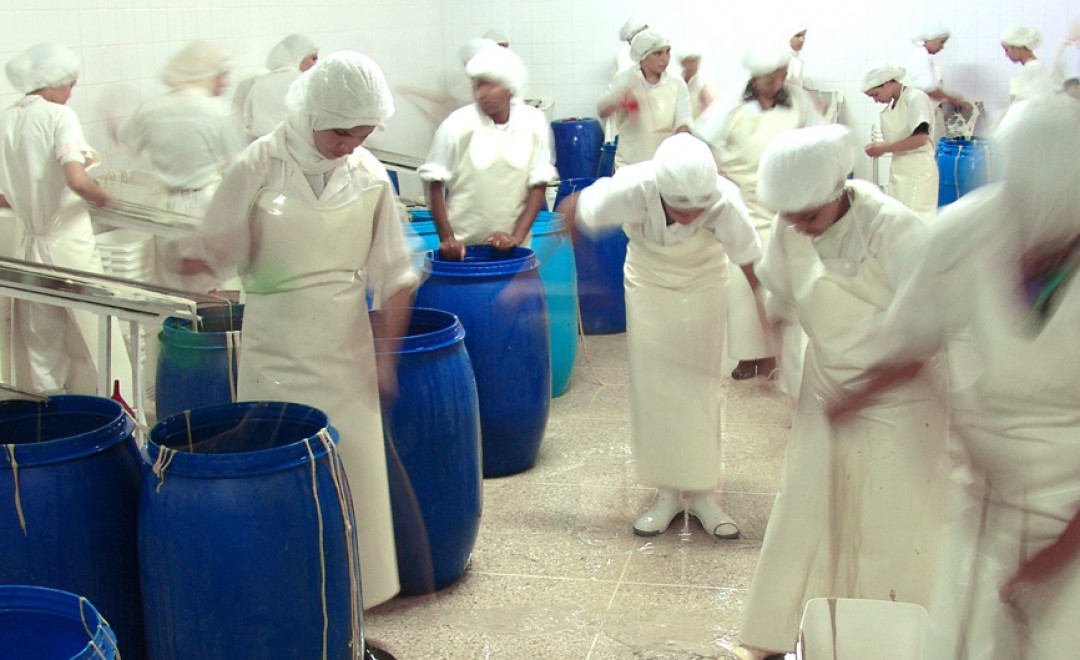 boyau-atelier-grattage