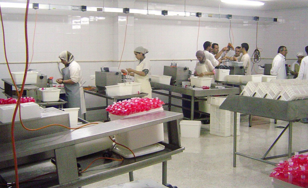 boyau-atelier-tubage